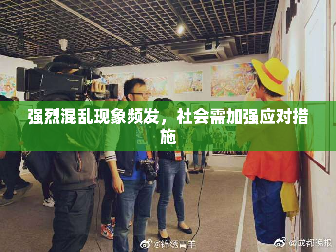 强烈混乱现象频发，社会需加强应对措施