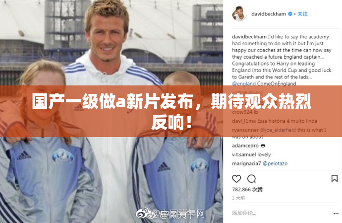 国产一级做a新片发布，期待观众热烈反响！