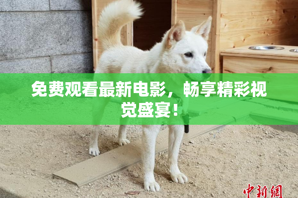 免费观看最新电影，畅享精彩视觉盛宴！