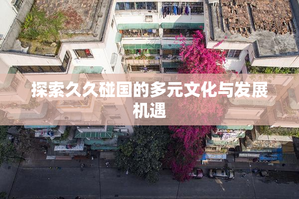 探索久久碰国的多元文化与发展机遇