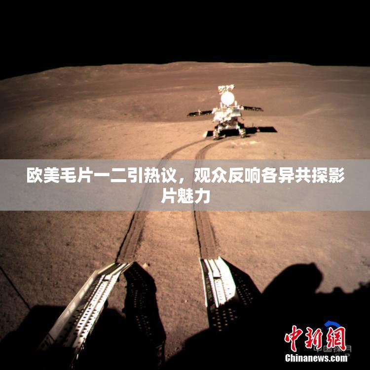 欧美毛片一二引热议，观众反响各异共探影片魅力