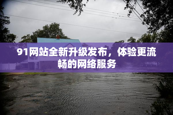 91网站全新升级发布，体验更流畅的网络服务