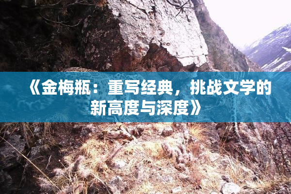 《金梅瓶：重写经典，挑战文学的新高度与深度》