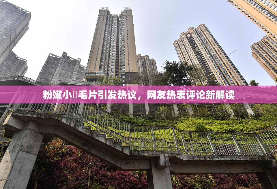 粉嫩小泬毛片引发热议，网友热衷评论新解读