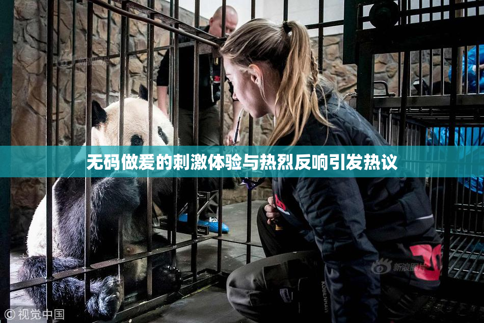 无码做爰的刺激体验与热烈反响引发热议