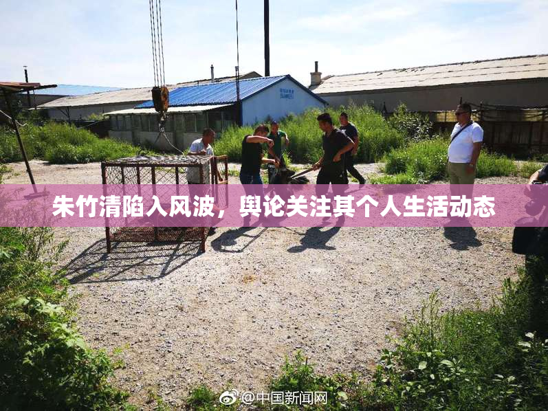 朱竹清陷入风波，舆论关注其个人生活动态