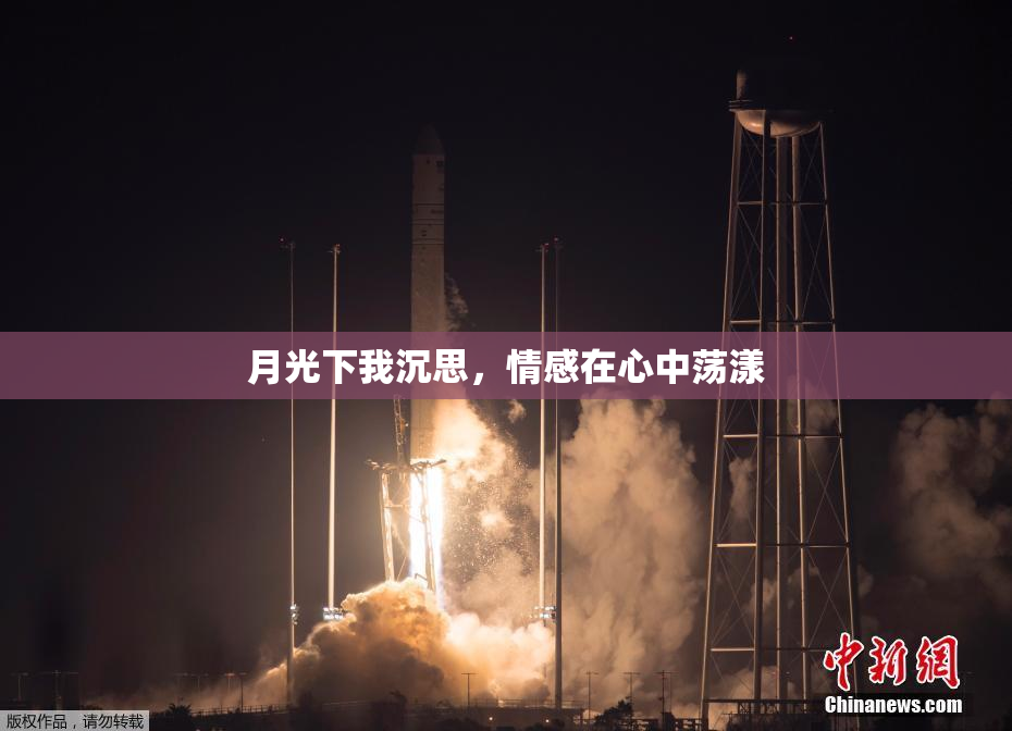 月光下我沉思，情感在心中荡漾