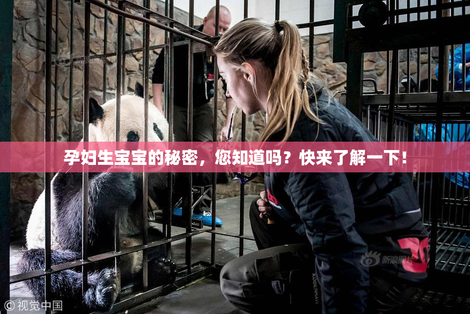 孕妇生宝宝的秘密，您知道吗？快来了解一下！