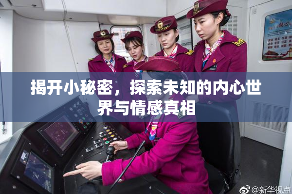 揭开小秘密，探索未知的内心世界与情感真相