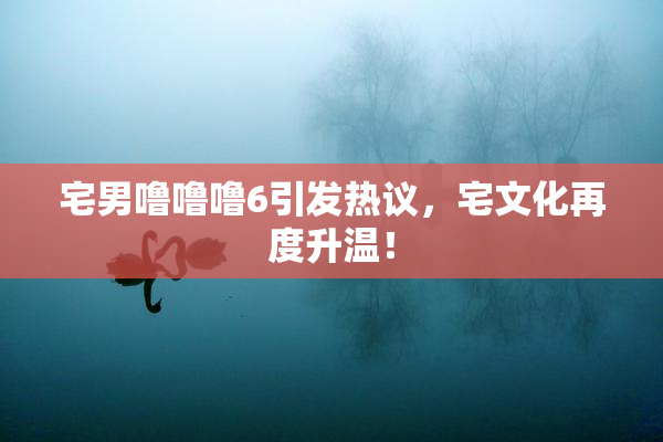 宅男噜噜噜6引发热议，宅文化再度升温！