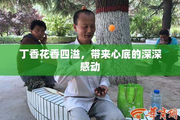丁香花香四溢，带来心底的深深感动
