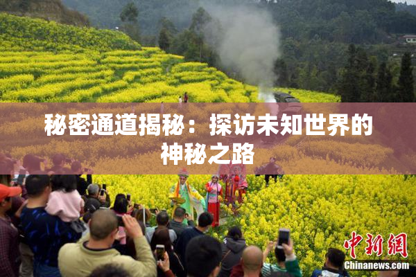 秘密通道揭秘：探访未知世界的神秘之路