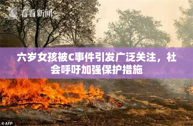 六岁女孩被C事件引发广泛关注，社会呼吁加强保护措施