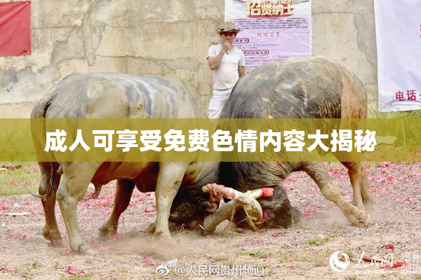 成人可享受免费色情内容大揭秘