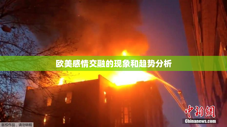 欧美感情交融的现象和趋势分析