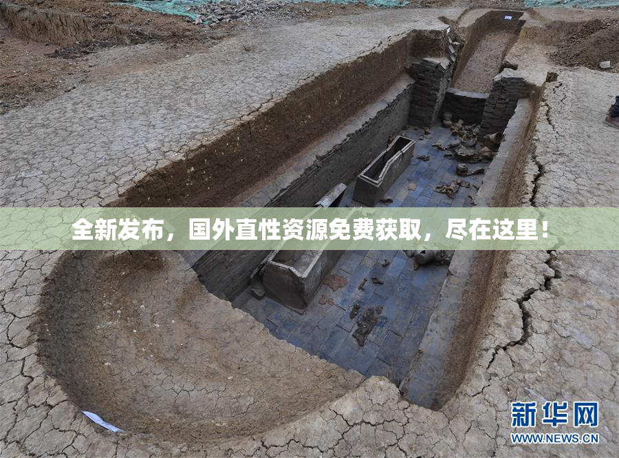 全新发布，国外直性资源免费获取，尽在这里！
