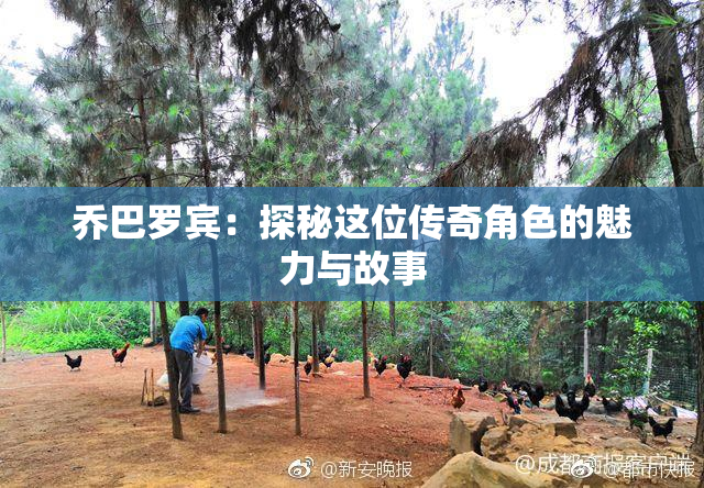 乔巴罗宾：探秘这位传奇角色的魅力与故事
