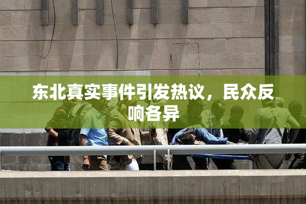 东北真实事件引发热议，民众反响各异