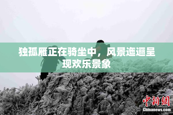 独孤雁正在骑坐中，风景迤逦呈现欢乐景象