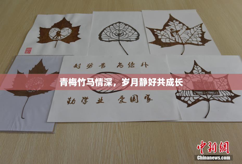 青梅竹马情深，岁月静好共成长