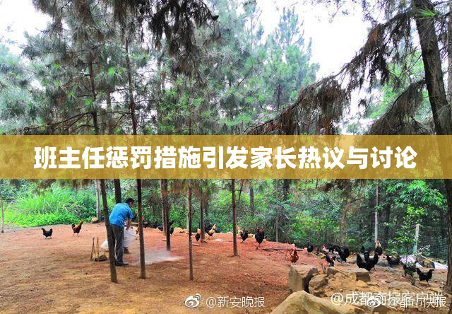 班主任惩罚措施引发家长热议与讨论