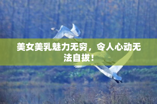 美女美乳魅力无穷，令人心动无法自拔！