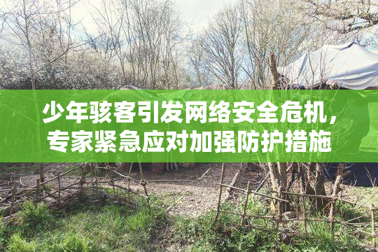 少年骇客引发网络安全危机，专家紧急应对加强防护措施