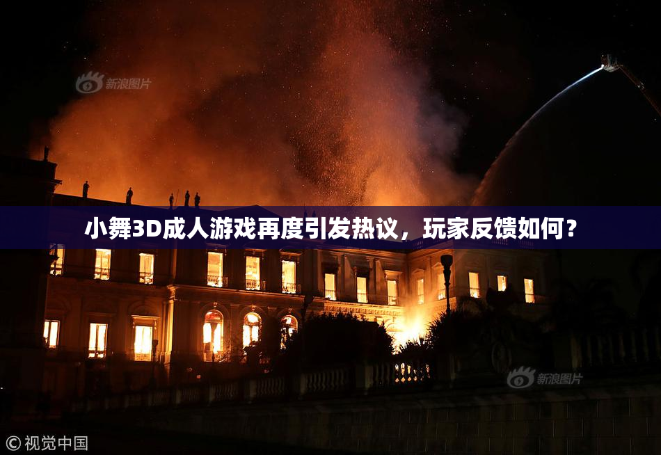 小舞3D成人游戏再度引发热议，玩家反馈如何？