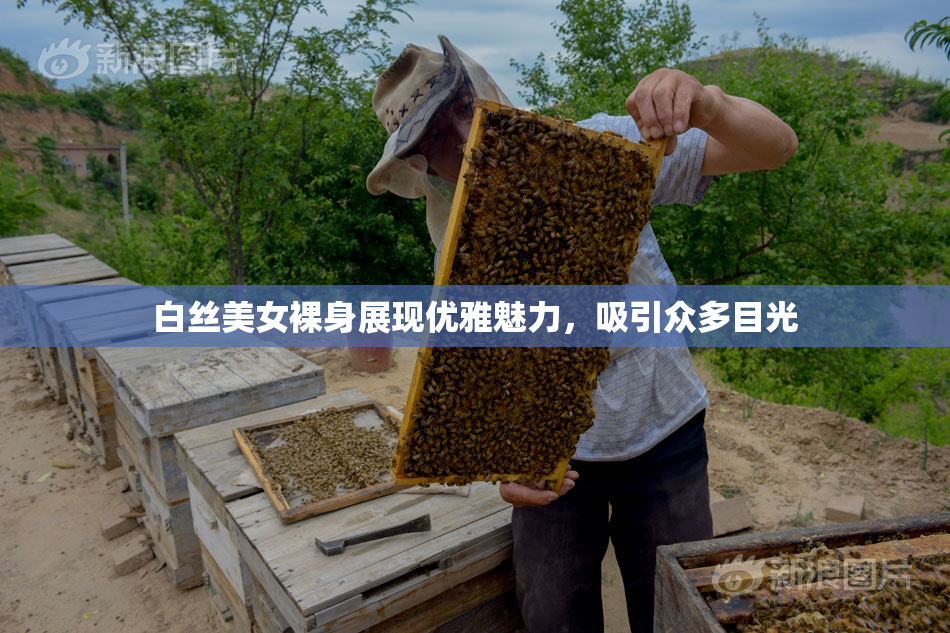 白丝美女裸身展现优雅魅力，吸引众多目光