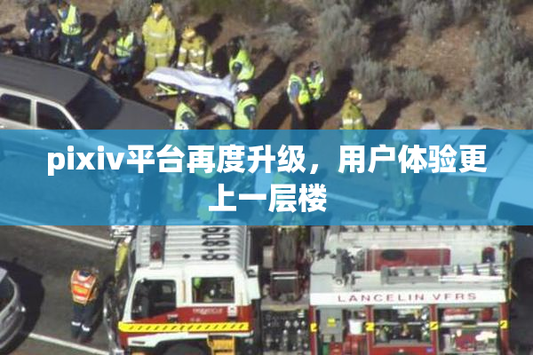 pixiv平台再度升级，用户体验更上一层楼