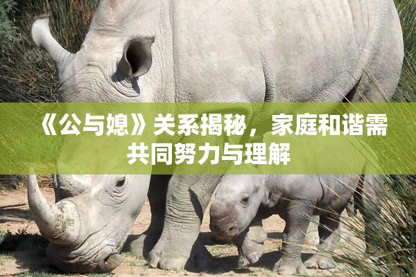 《公与媳》关系揭秘，家庭和谐需共同努力与理解
