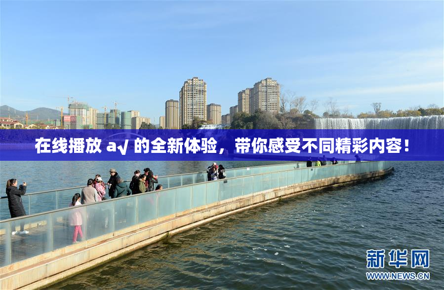 在线播放 a√ 的全新体验，带你感受不同精彩内容！