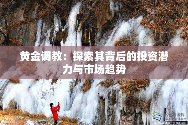 黄金调教：探索其背后的投资潜力与市场趋势