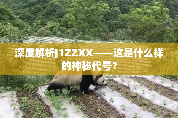 深度解析J1ZZXX——这是什么样的神秘代号？