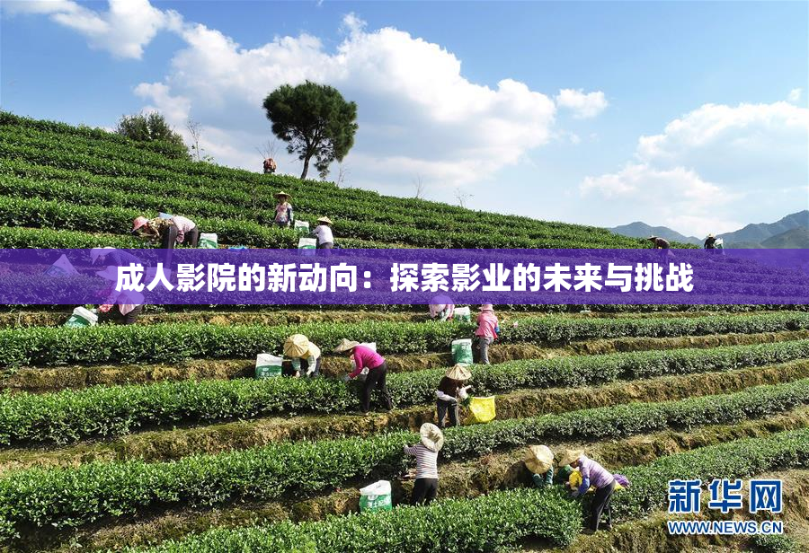 成人影院的新动向：探索影业的未来与挑战