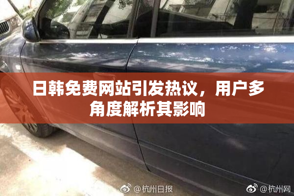 日韩免费网站引发热议，用户多角度解析其影响