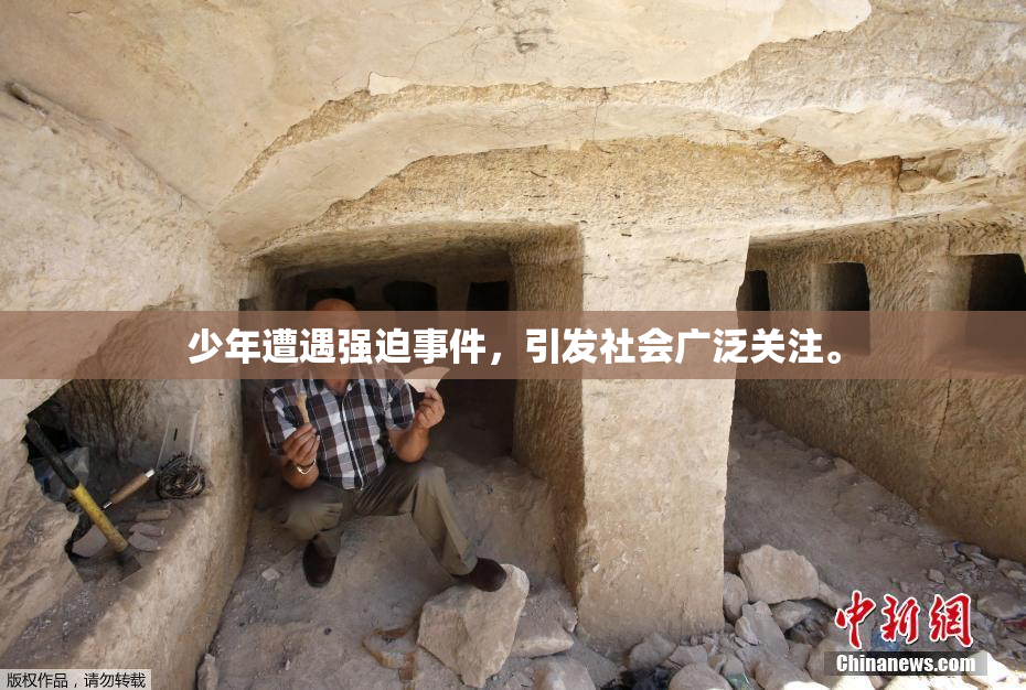 少年遭遇强迫事件，引发社会广泛关注。