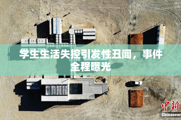学生生活失控引发性丑闻，事件全程曝光