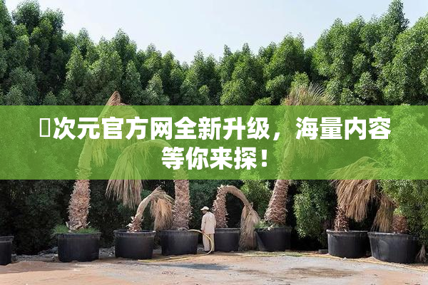 囧次元官方网全新升级，海量内容等你来探！