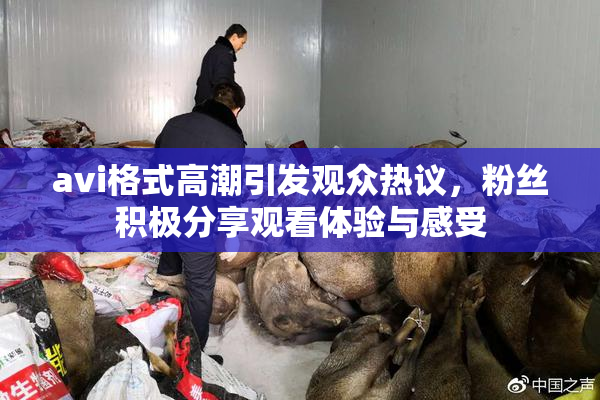 avi格式高潮引发观众热议，粉丝积极分享观看体验与感受
