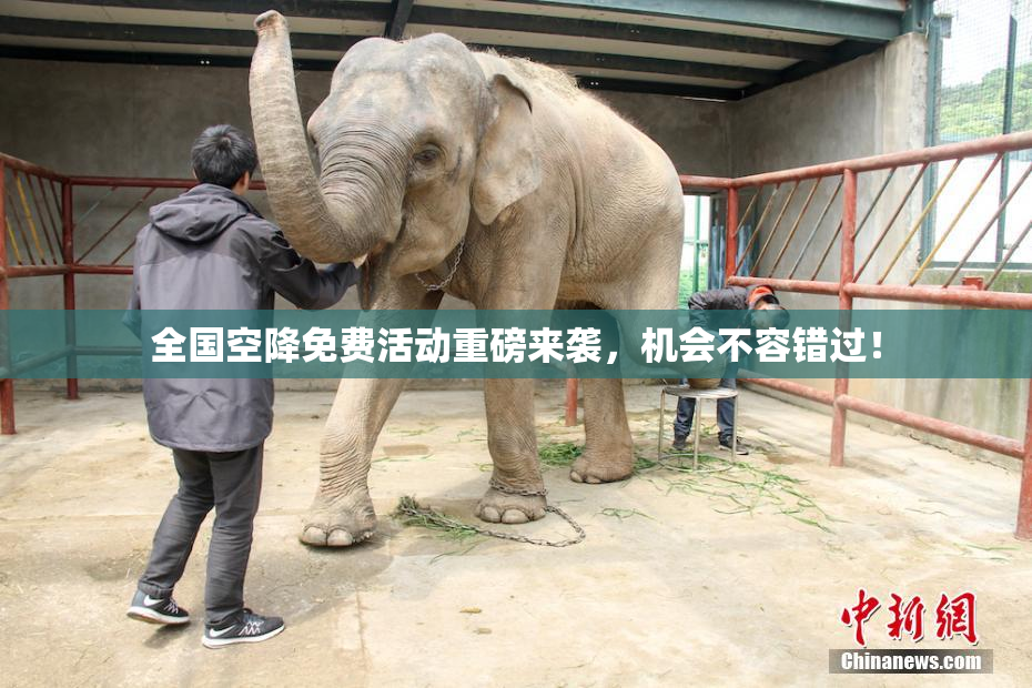 全国空降免费活动重磅来袭，机会不容错过！