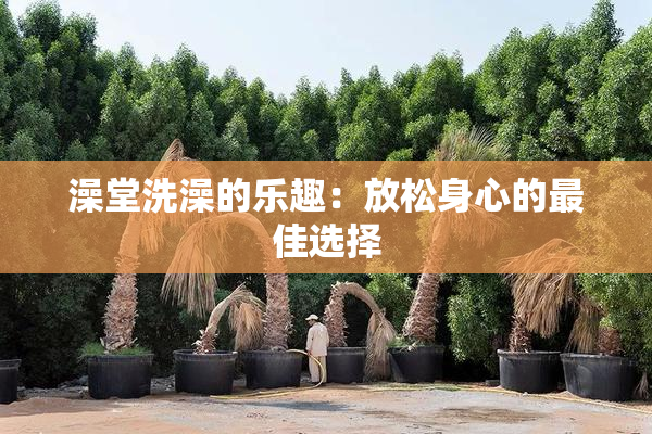 澡堂洗澡的乐趣：放松身心的最佳选择