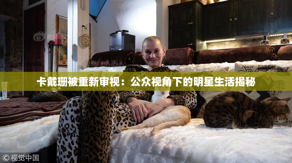 卡戴珊被重新审视：公众视角下的明星生活揭秘