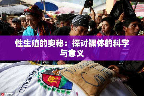 性生殖的奥秘：探讨裸体的科学与意义