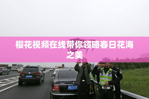 樱花视频在线带你领略春日花海之美