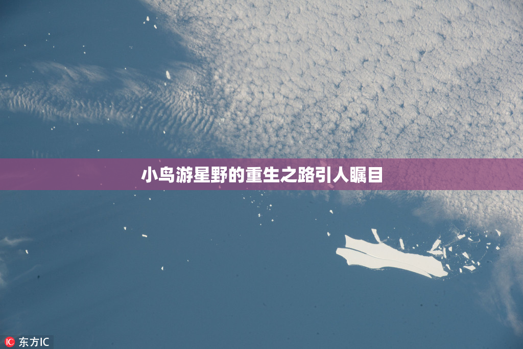 小鸟游星野的重生之路引人瞩目