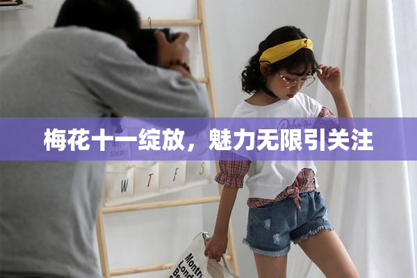 梅花十一绽放，魅力无限引关注