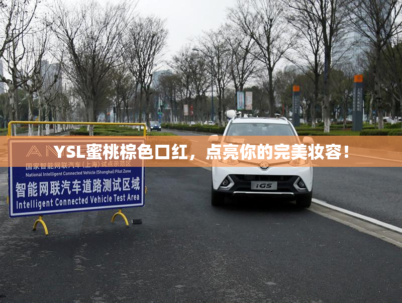 YSL蜜桃棕色口红，点亮你的完美妆容！