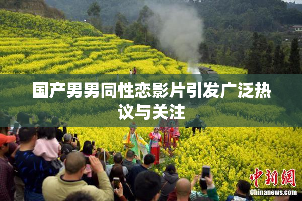 国产男男同性恋影片引发广泛热议与关注