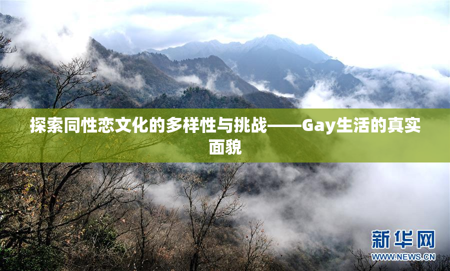 探索同性恋文化的多样性与挑战——Gay生活的真实面貌
